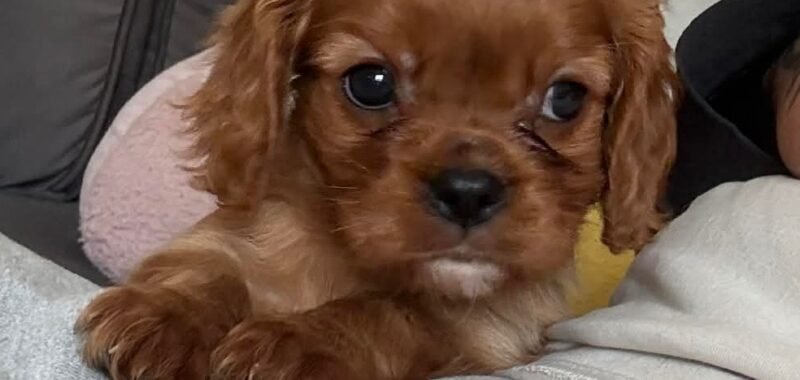 att.maJVxNdv7CrjhEwvkuAIxyxP3bCM9KMR4vC uG4QSlg