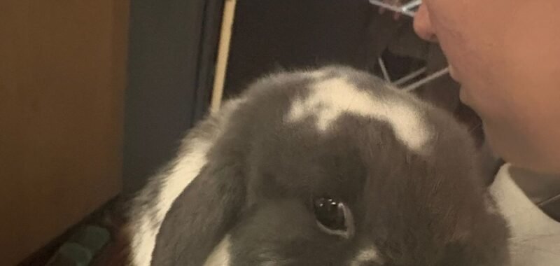 b49834d2 9dab 4442 bd51 77491e907a71