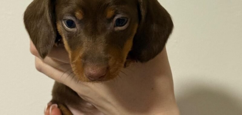 c60c1714 e83a 4735 8a59 17b87a27688e