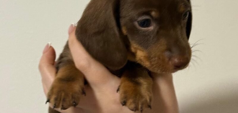 c67e08a6 3a86 41de 95ef e0f2d5452f58