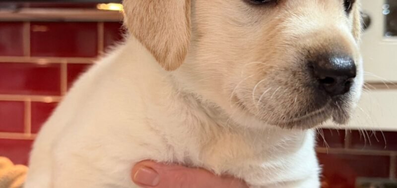 ccecf679 f8b0 45ed 8641 740724a6bb65