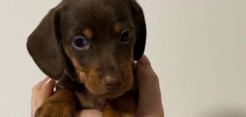 d153cc32 ec9a 4f57 889b 9367ce5ba8c9