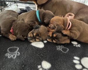 00cad5fd f8ad 40b4 a18d 343d2eb82728