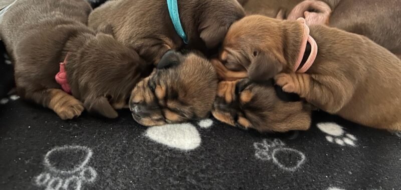 00cad5fd f8ad 40b4 a18d 343d2eb82728