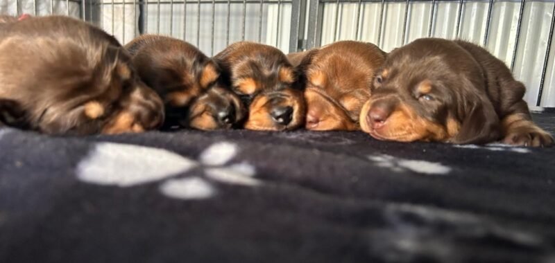 15abd351 0485 4c6e a6d7 50c4dba1aac4 1