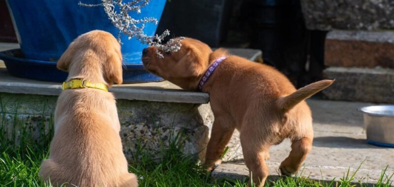 1c599e31e3b300d1ecb6e384d3697fbb