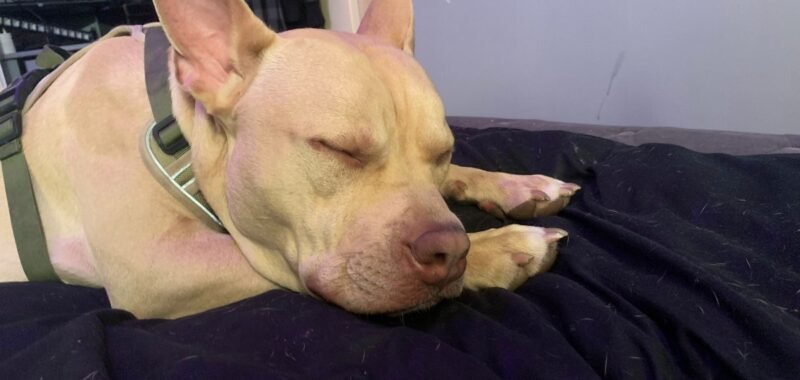 2026 04 04 at 17.55.38