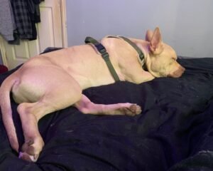 2026 04 04 at 17.55.382