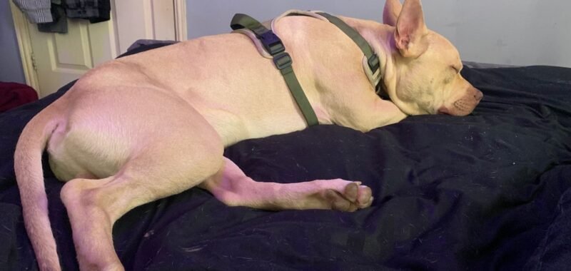 2026 04 04 at 17.55.382