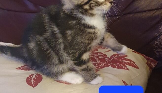 20260414 192201 resized 1