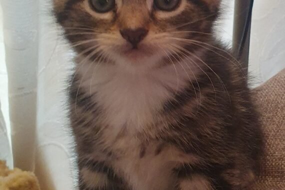 20260416 125908 resized