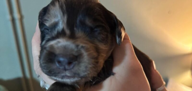 36244910 eea3 407b 9784 7f432106c129