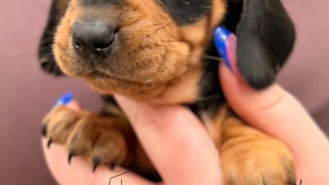 3bc5a795 f496 4a96 b1f2 84c76653e264