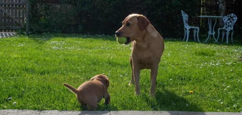 3f88f8e0851ef368048814f1166f103e