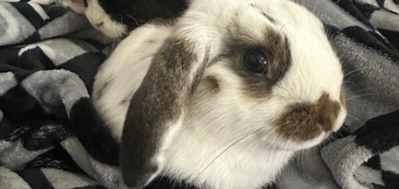 40cf8acc dfb5 401f 9d8a 88cdce12a355