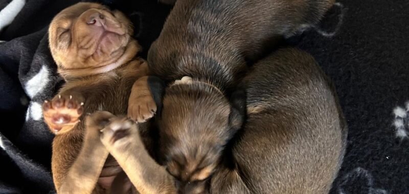 501a0389 9619 4206 b2ac 515cd125bceb