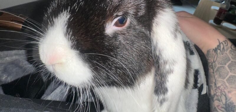 5c0cab2a bc7e 4b76 95a4 3fcbceee79b1