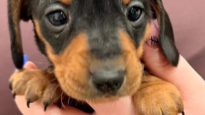 6029ad3e 6e1e 4119 bfd2 1ec41f1e0b19