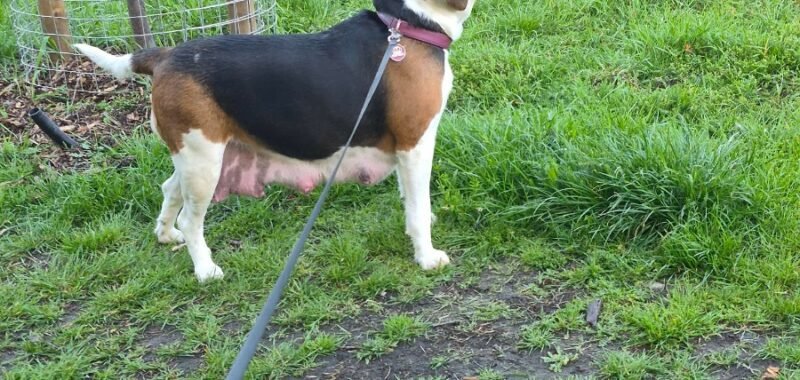 61eabe6f 930c 4f17 b6d8 d96f6a72ab21