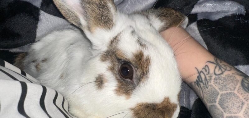 68913a73 ed1d 4670 884f 764eb39f83a9