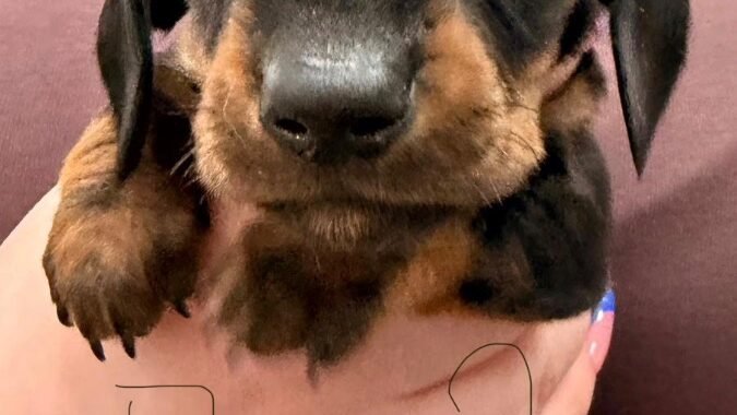 6e6159fd 0e13 4793 a94e 2c54050f1fd6