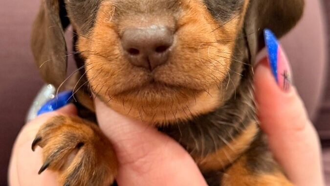 6ec0e4ad b575 417f b517 3192b62a01ea