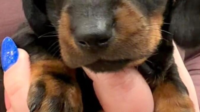 7354fb7a 049b 4e85 b1f9 dda98b6c2deb