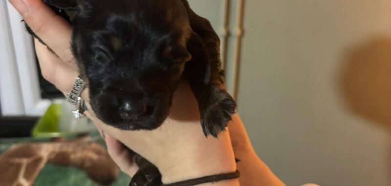 78d3c1c4 6fcc 46bf b979 ecdd8a6e7e4f