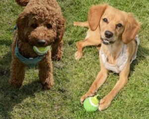 7e9632fb fa63 4715 92f4 a7fa1d7f79d8