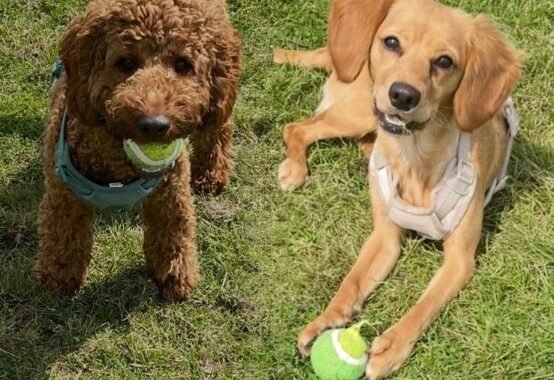 7e9632fb fa63 4715 92f4 a7fa1d7f79d8