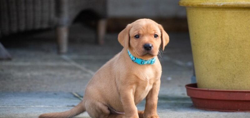 8360b531ab7c253c9cfe3944c0d24f80