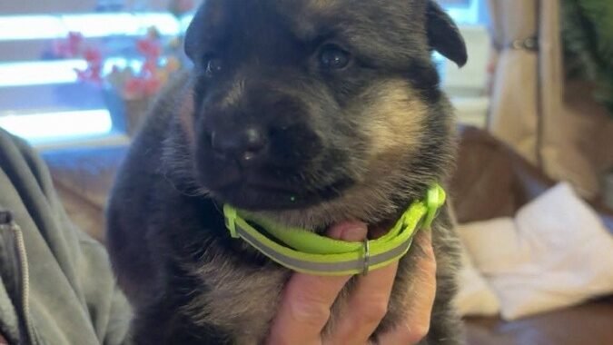 FB IMG 1775371050921