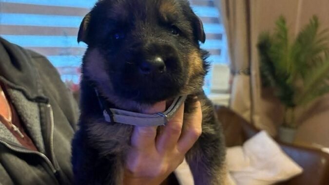 FB IMG 1775371058722