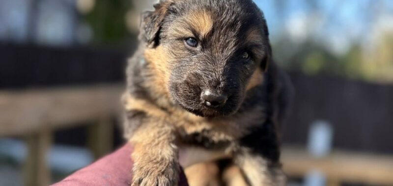 FB IMG 1775418829861