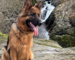 FB IMG 1775418845395