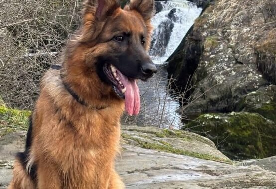 FB IMG 1775418845395