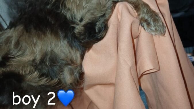 IMG 20260327 WA0006 1