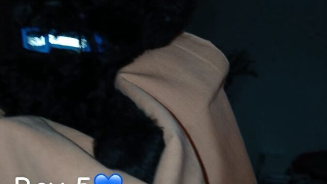 IMG 20260327 WA0009 1