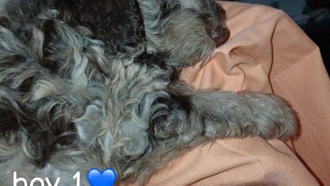 IMG 20260327 WA0016 1