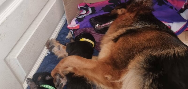 Messenger creation 3DE0547B C84C 4CF7 9D6F 8C055615B1BD