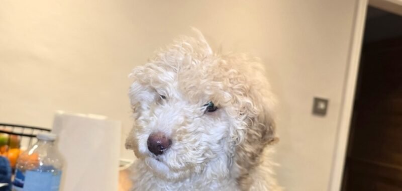 Screenshot 20260402 183641 Gallery