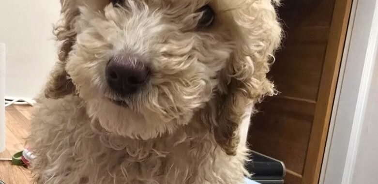 Screenshot 20260402 183655 Gallery