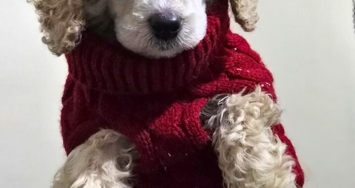 Screenshot 20260402 183719 Gallery