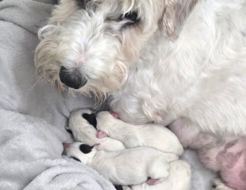 Screenshot 20260408 181750 Gallery