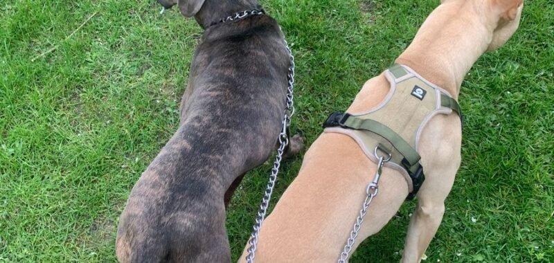 WhatsApp Image 2026 04 09 at 11.46.43 1