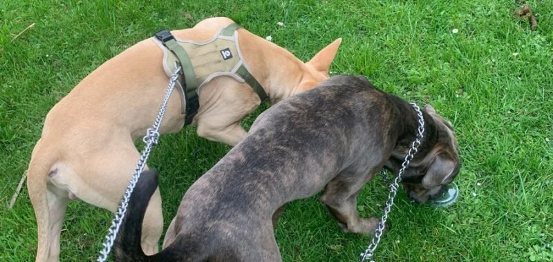 WhatsApp Image 2026 04 09 at 11.46.43