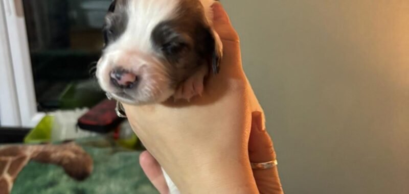 a3fe60fb 420b 436a 9b8c dccb08135e68