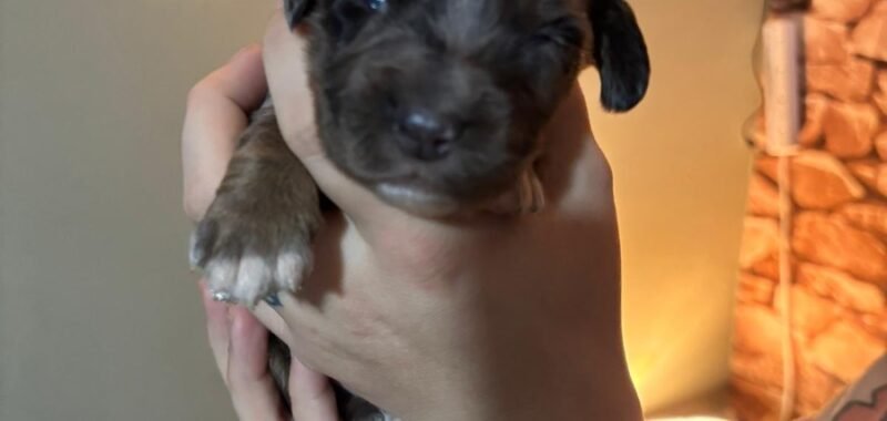 a890b95c 4f61 4242 9b64 58770b795243