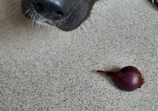 ad298fbb 2e36 44e6 b8bf 2f10cd2413c7 1 all 6882