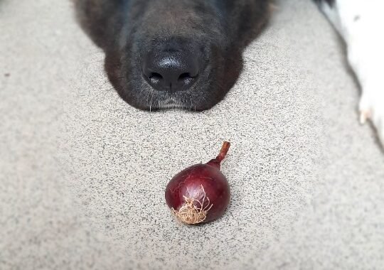 ad298fbb 2e36 44e6 b8bf 2f10cd2413c7 1 all 6887